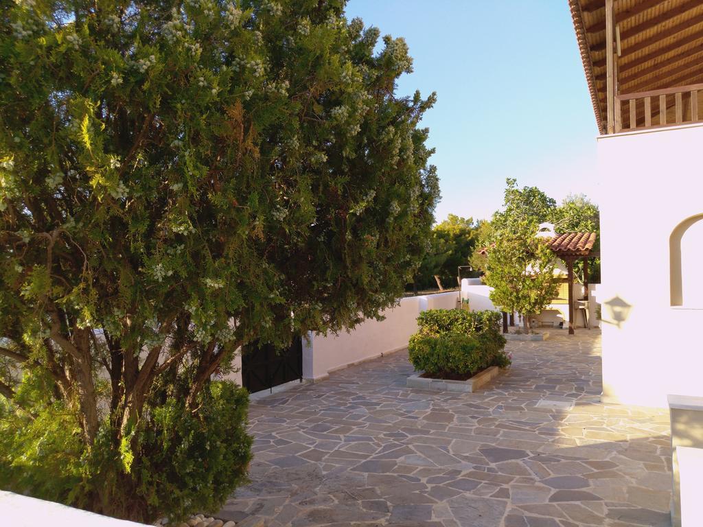 Explore Aegina Island Souvala Eksteriør billede